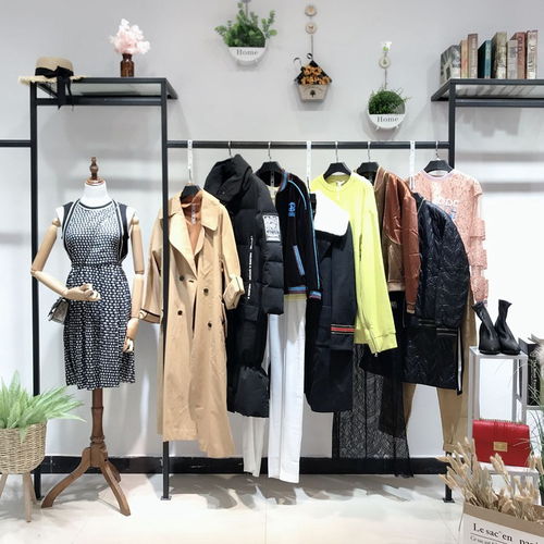 大碼女裝新時尚，批發(fā)商機盡顯優(yōu)雅與舒適